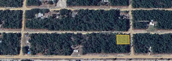 LOT 1 SELMA AVE, Interlachen, FL 32148