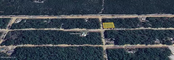 Interlachen, FL 32148,LOT 1 SELMA AVE