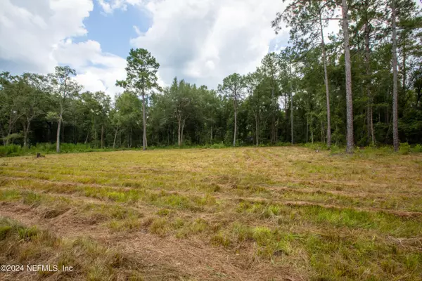 Keystone Heights, FL 32656,00 JONES CREEK RD