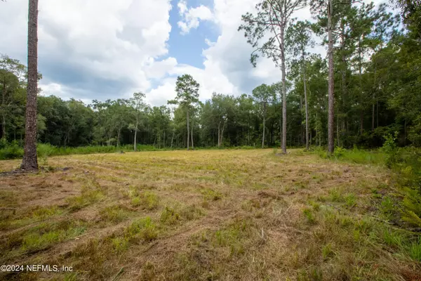 Keystone Heights, FL 32656,00 JONES CREEK RD