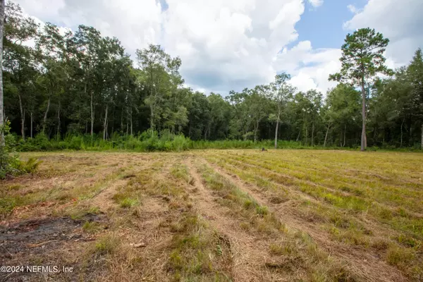 Keystone Heights, FL 32656,00 JONES CREEK RD