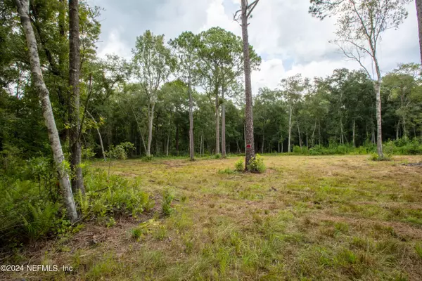 Keystone Heights, FL 32656,00 JONES CREEK RD