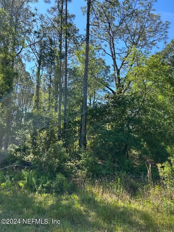 LOT 32 RHONDA AVE, Interlachen, FL 32148