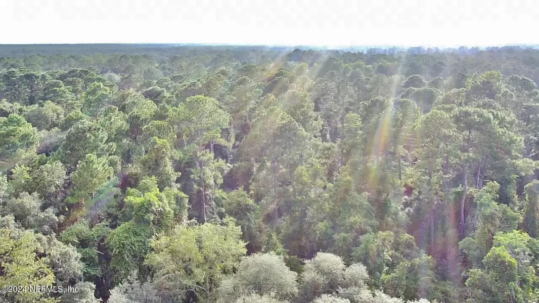 4029 THUNDER HEIGHTS LN, Middleburg, FL 32068