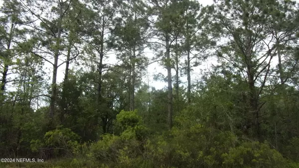 Hastings, FL 32145,4660 HAROLD ST