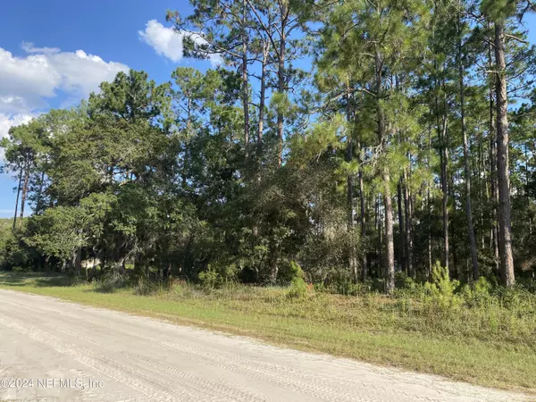 Georgetown, FL 32139,213 PONDEROSA PINES CT