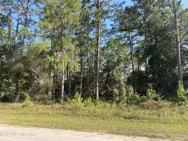 Georgetown, FL 32139,213 PONDEROSA PINES CT