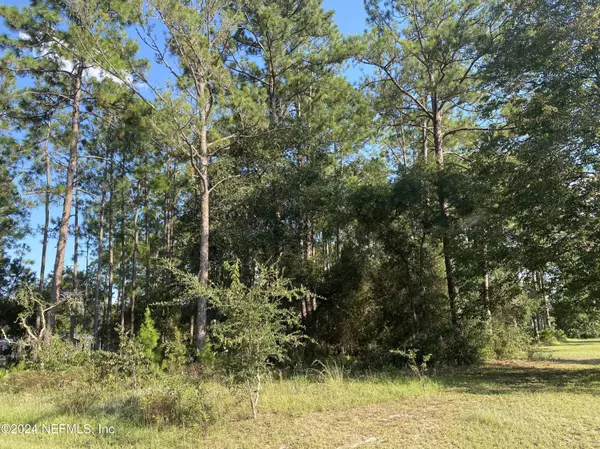 Georgetown, FL 32139,213 PONDEROSA PINES CT