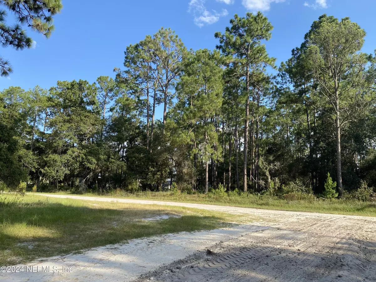 Georgetown, FL 32139,213 PONDEROSA PINES CT