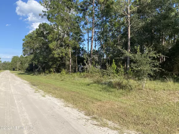 Georgetown, FL 32139,213 PONDEROSA PINES CT