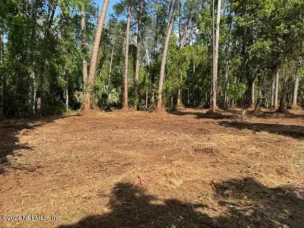 Georgetown, FL 32139,105 CAMELLIA CT