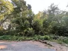 High Springs, FL 32643,LOT 12 NW NORTHWEST 181 ST PL