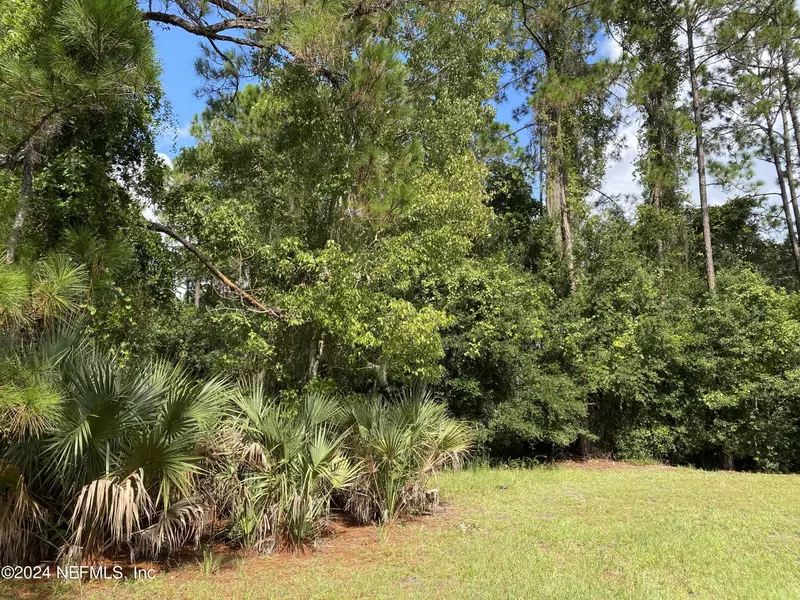 LOT 32 LONE LAUREL LN, Georgetown, FL 32112