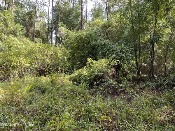 Georgetown, FL 32112,LOT 32 LONE LAUREL LN