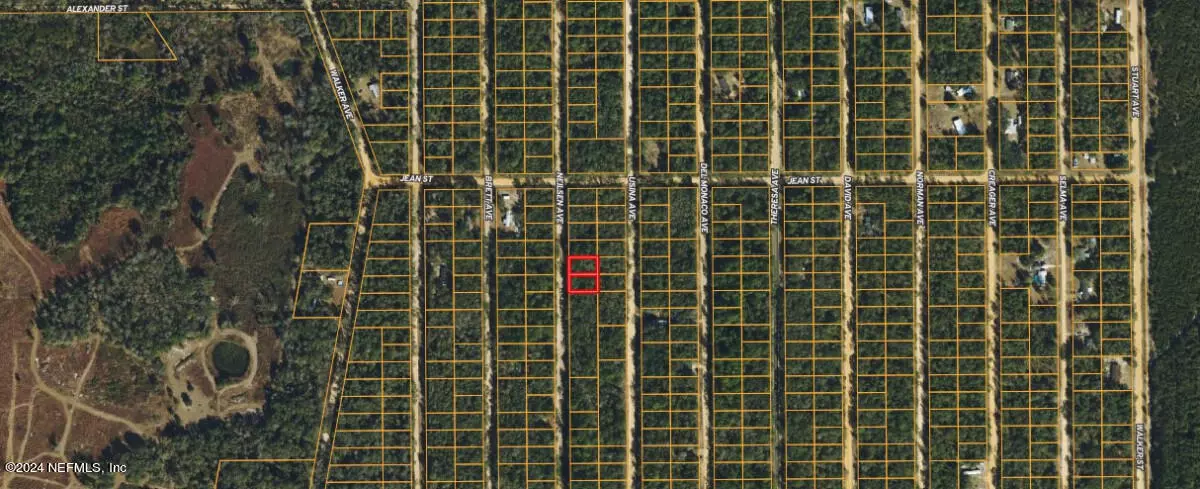 0 NEILSON AVE, Interlachen, FL 32148