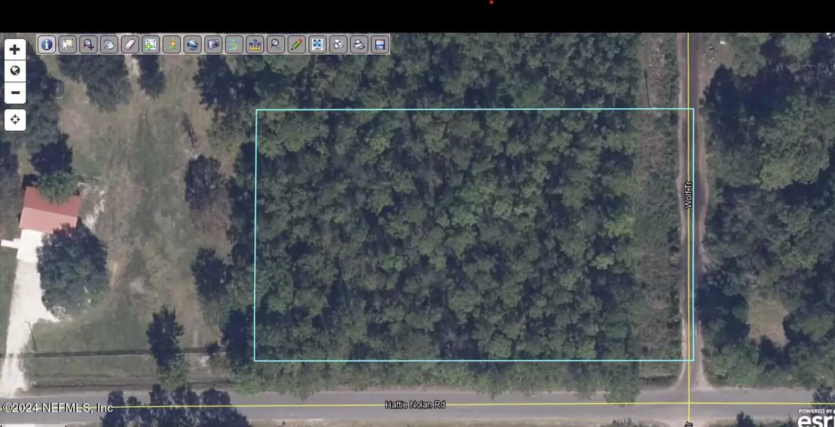 0 WOLF TRL, Middleburg, FL 32068