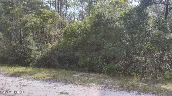 Georgetown, FL 32139,209 OCALA CT