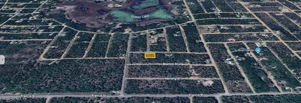 Interlachen, FL 32148,0 MATTOCK ST