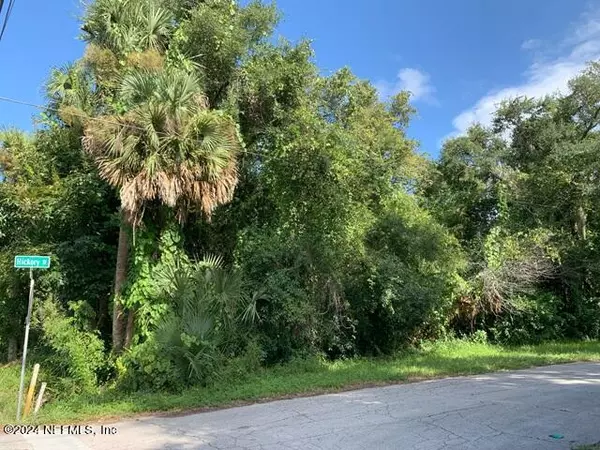 New Smyrna Beach, FL 32168,0 HICKORY ST