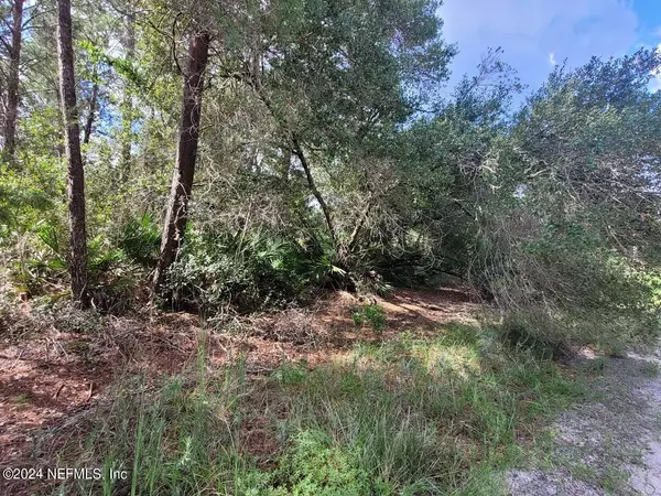 Georgetown, FL 32139,221 PONDEROSA PINE CT