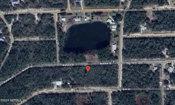 157 WALLACE ST, Interlachen, FL 32148