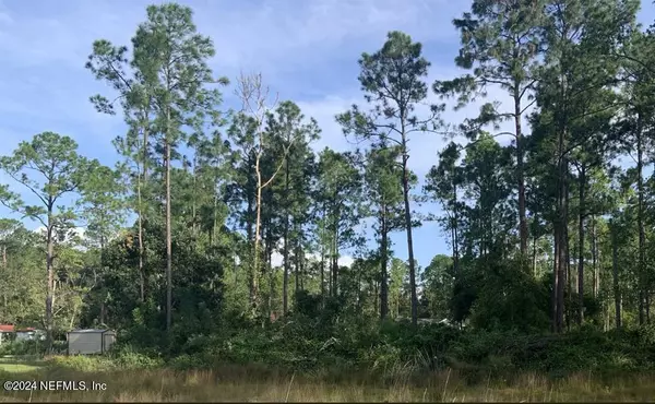 Satsuma, FL 32189,124 PINESHORE RD