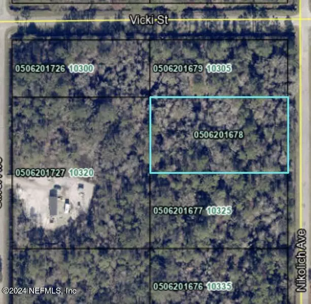 10315 NIKOLICH AVE, Hastings, FL 32145