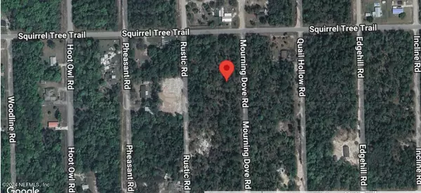 Satsuma, FL 32189,407 MOURNING DOVE RD