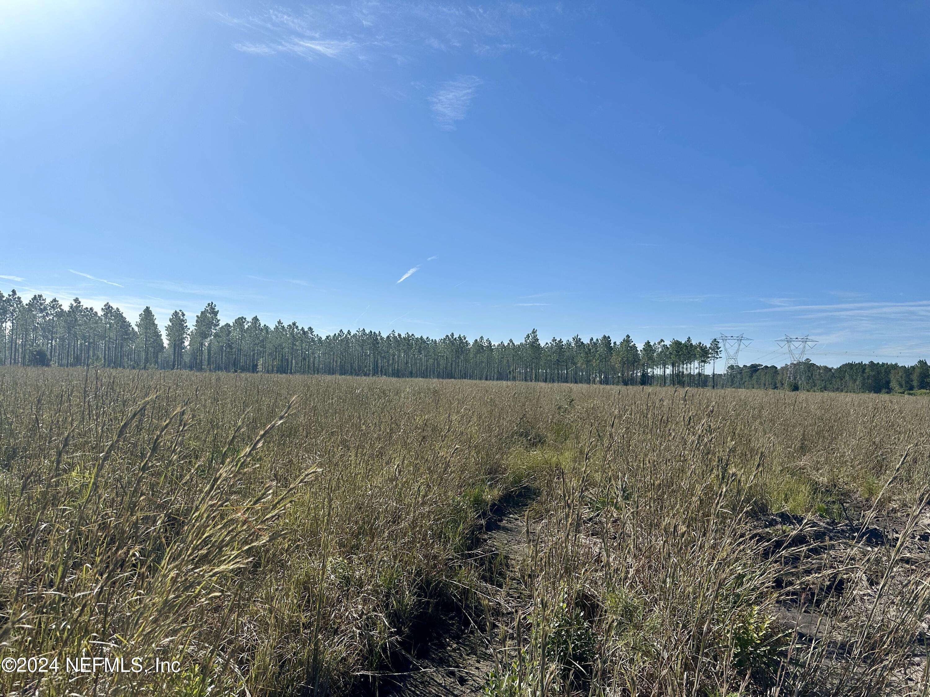 Hilliard, FL 32046,172619 ANDREWS RD
