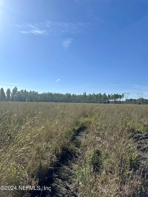 Hilliard, FL 32046,LOT 15 ANDREWS RD