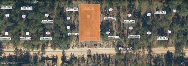 322 FLAGLER DR, Interlachen, FL 32148