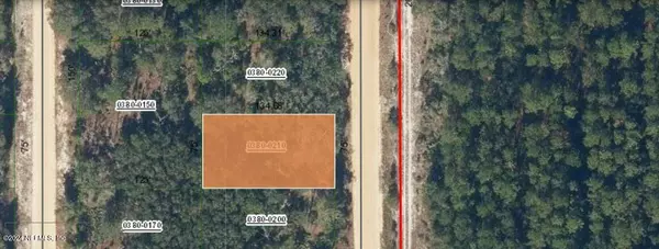 0 STUART AVE, Interlachen, FL 32148