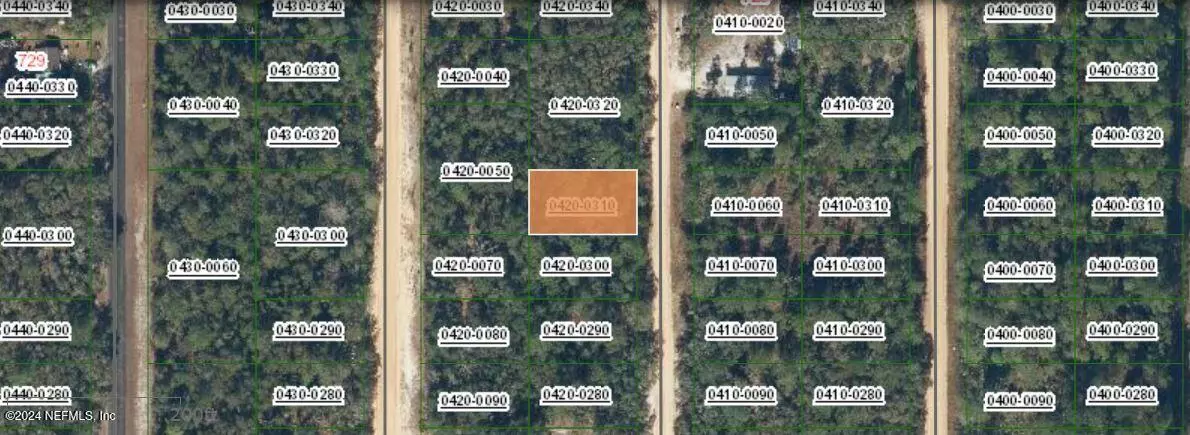 Interlachen, FL 32148,00000 NORMAN AVE