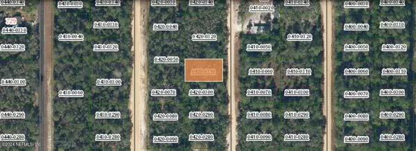 00000 NORMAN AVE, Interlachen, FL 32148