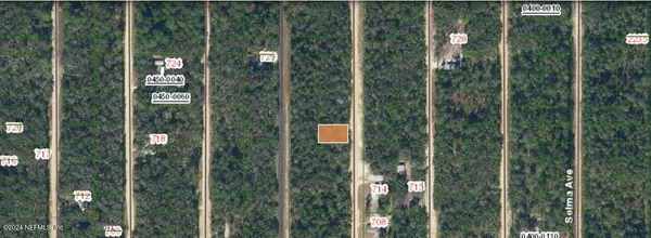 Interlachen, FL 32148,00 DAVID AVE