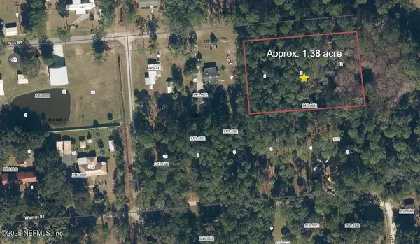 Welaka, FL 32193,000 PINE ST