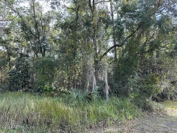 Welaka, FL 32193,000 PINE ST