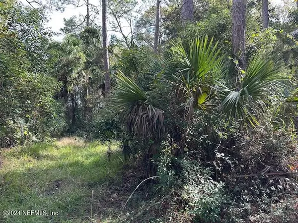 000 PINE ST, Welaka, FL 32193