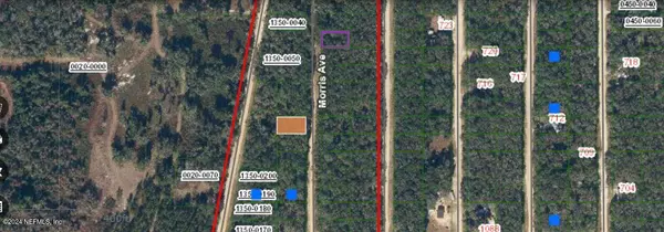 Interlachen, FL 32148,0 MORRIS AVE