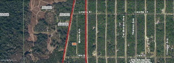 000 MORRIS AVE, Interlachen, FL 32148