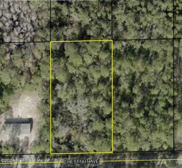 5858 CHESTNUT AVE, Bunnell, FL 32110