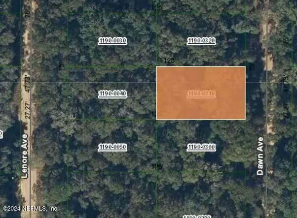 00000 DAWN AVE, Interlachen, FL 32148