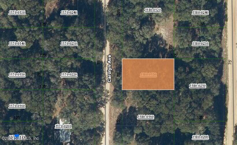 0000 CAROLYN AVE, Interlachen, FL 32148