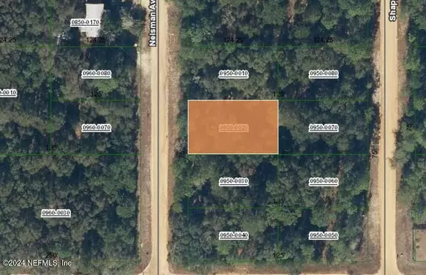 00000 NELSMAN AVE, Interlachen, FL 32148