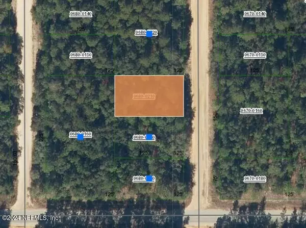 000000 BRETT AVE, Interlachen, FL 32148