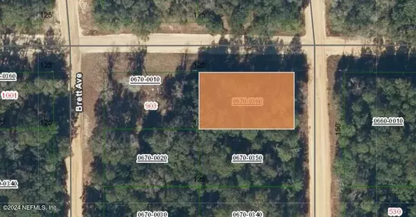 00000 NEILSEN AVE, Interlachen, FL 32148