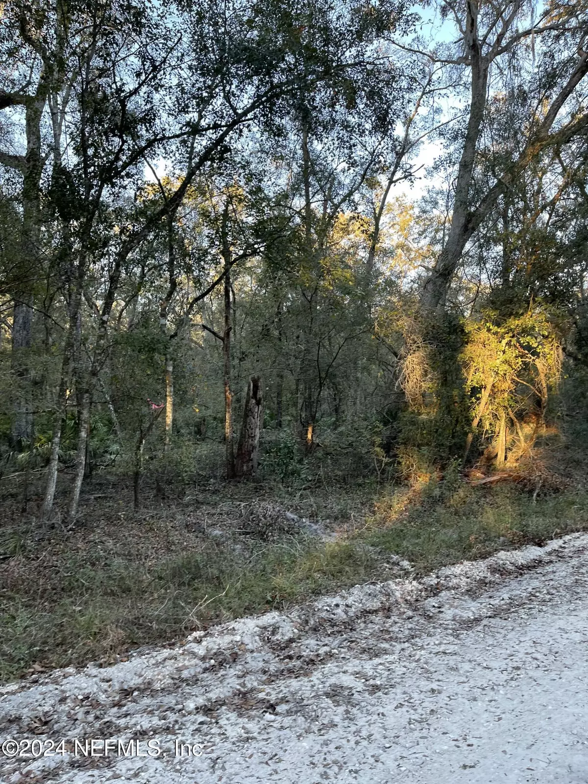 Branford, FL 32008,LOT 14/15 292ND ST