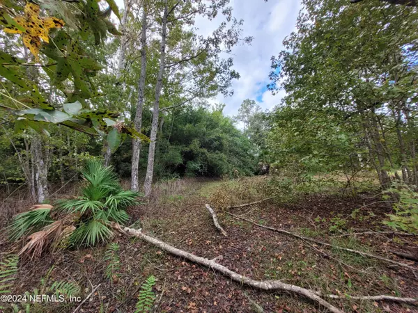 Crescent City, FL 32112,0 SENTINEL DR