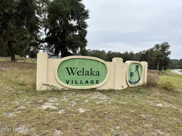 Welaka, FL 32193,211 VILLAGE DRIVE PL