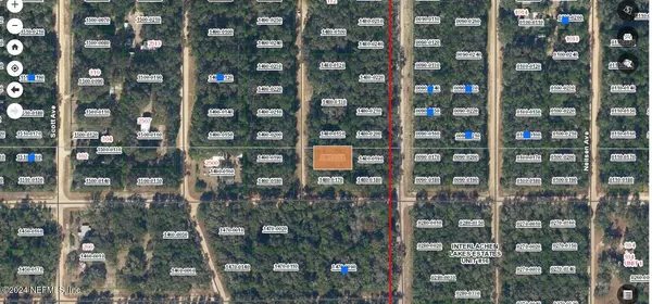 Interlachen, FL 32148,00 HENRY AVE